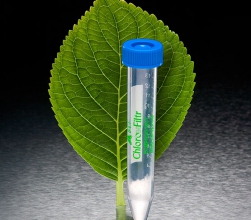 chlorofiltr-and-leaf-2